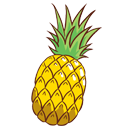 ananas pendant la grossesse