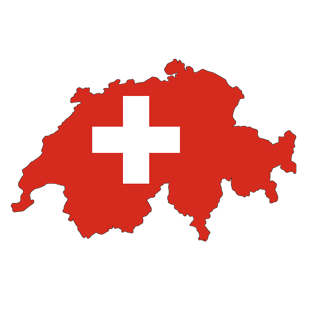 bola-de-grossesse-suisse